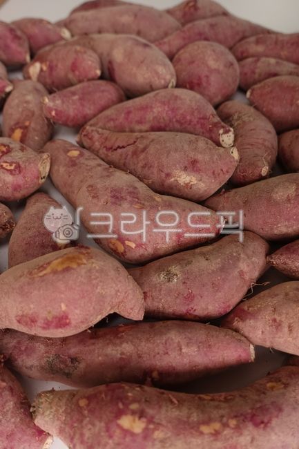 sweet potato,large sweet potato,Red potato,red sweet potato,9yearold crop,vegetable,sweetpotato,food