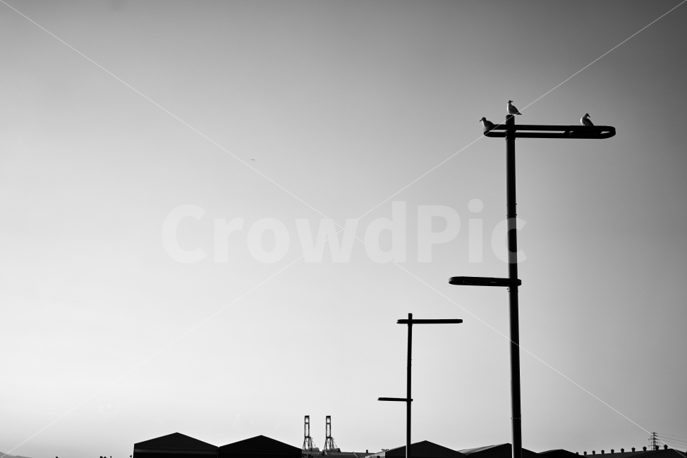 북성포구,솟대,추상,여백,흑백,흑백사진,가로등,흑백,모노톤,monochrome,black and white