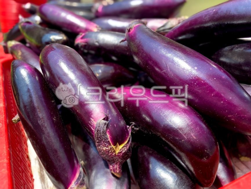 음식, food, 가지, eggplant, aubergine, 사진,이미지,일러스트,캘리그라피 - 카르멘작가