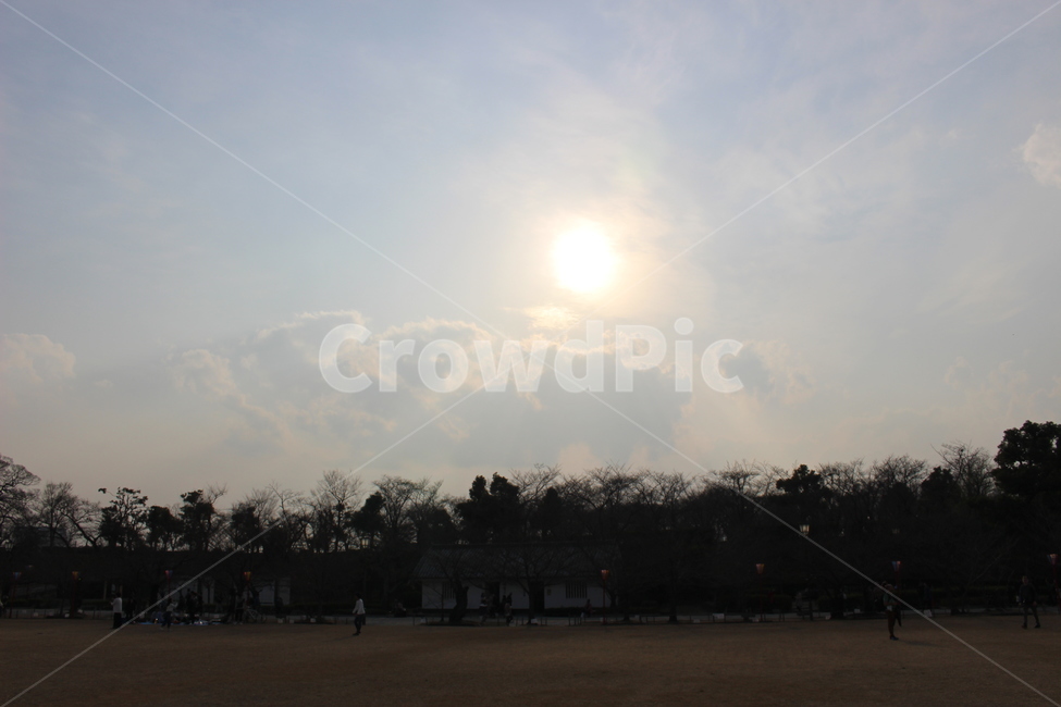 하늘,태양,구름,일본,히메지,공원,자연,풍경,nature,landscape,flare,플레어,light,빛,outdoors,옥외