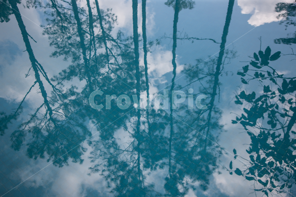 수영장,물,수면,물결,하늘,자연,풍경,nature,landscape,tree,나무,plant,식물