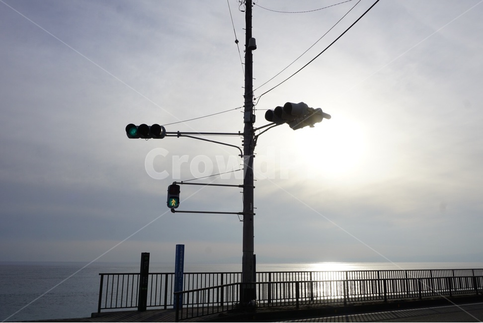 도쿄,tokyo,일본,japan,신호등,자연,햇빛,풍경,trafficlight,nature,sunshine,scenery,교통,교통수단,traffic,transportation