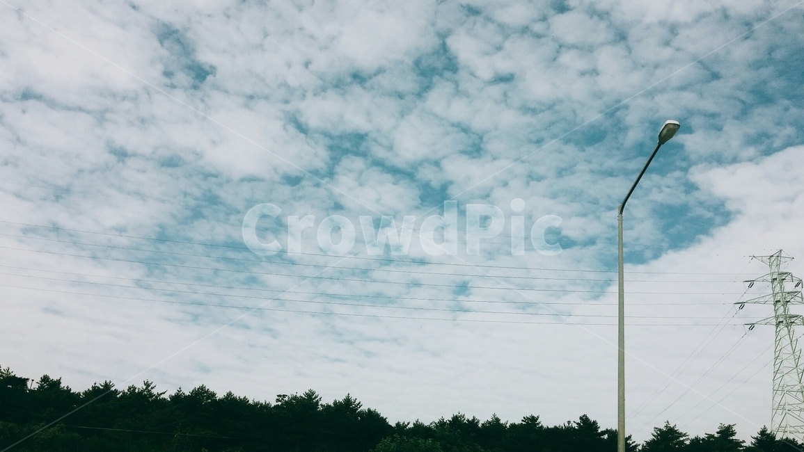 양떼구름,고적운,구름,가로등,하늘,나무,전선,cloud,sky,flockofsheep