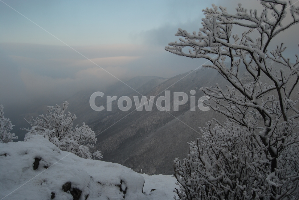 겨울,산,눈,공원,탐방로,겨울,계절,winter,season,자연,풍경,nature,landscape,한국자연풍경,한국자연경관,korea nature landscape,outdoors,옥외,ice,빙,snow,frost,서리