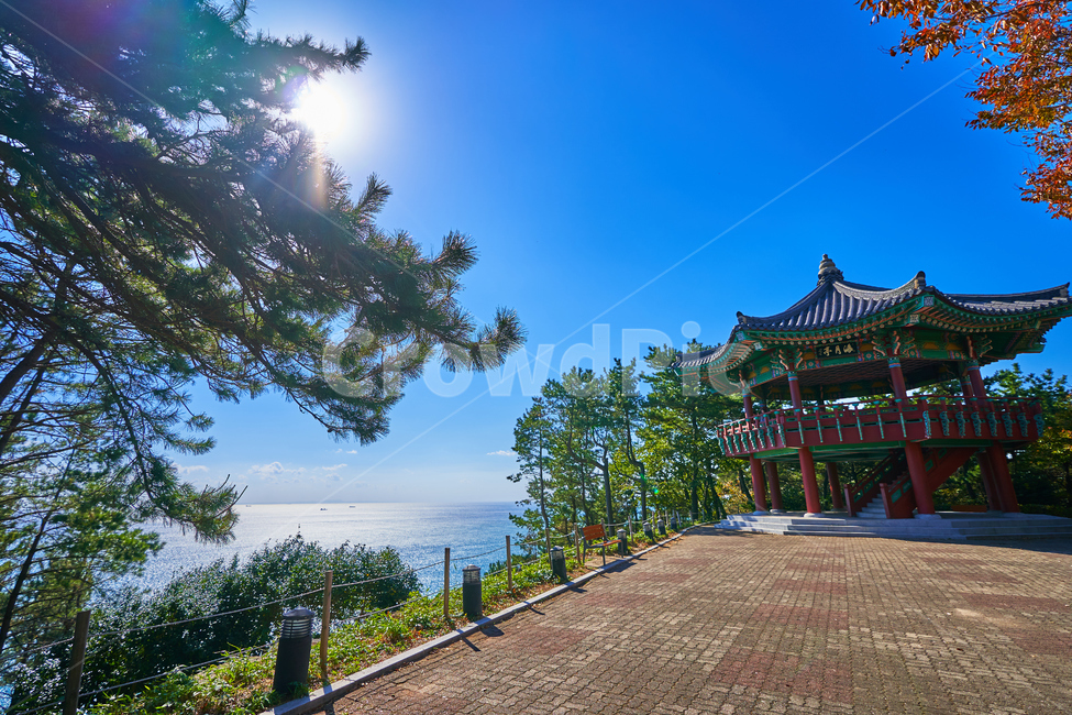 부산,달맞이길,해운대,평온한,맑은,바다,수평선,자연,풍경,nature,landscape,한국자연풍경,한국자연경관,korea nature landscape,한국전통,한국문화,korean traditional,korean culture,architecture,건축물,building,건물
