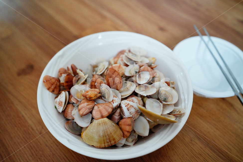 조개,대합,sealife,동물,animal,해양생물,그릇,껍데기