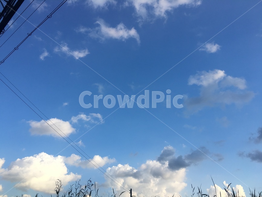 nature,하늘,푸른하늘,자연,sky,azuresky,자연,풍경,nature,landscape,azure sky,푸른 하늘,outdoors,옥외