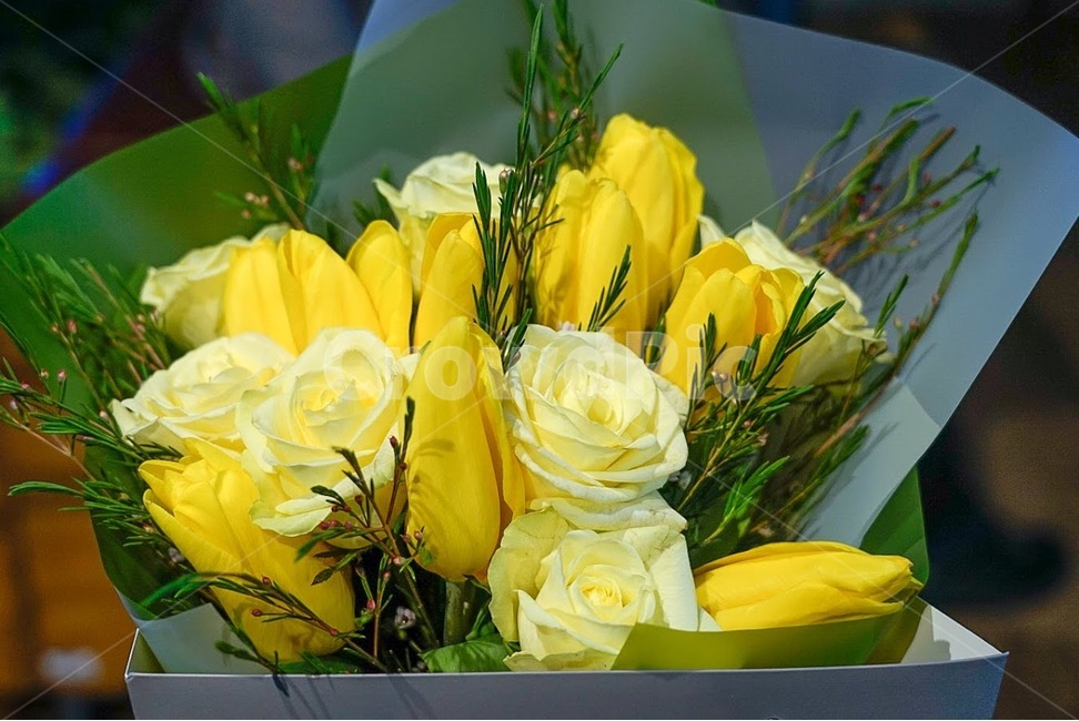 꽃,튤립,장미,꽃다발,봄,봄꽃,꽃,flower,기념일,축하,anniversary,congratulation,celebrate,celebration