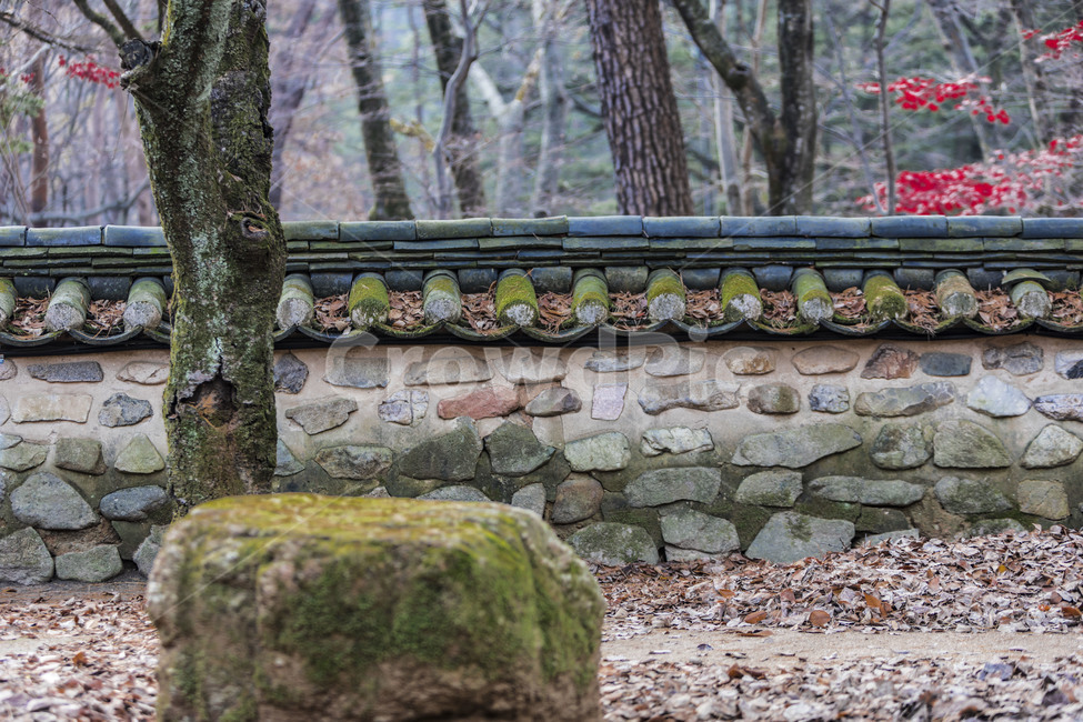 기와,기와담장,담벼락,기와이끼,전통담,가을,계절,fall,autumn,season,한국전통,한국문화,korean traditional,korean culture,건축물,건물외관,exterior,building,structure,architecture,construction,wall,벽