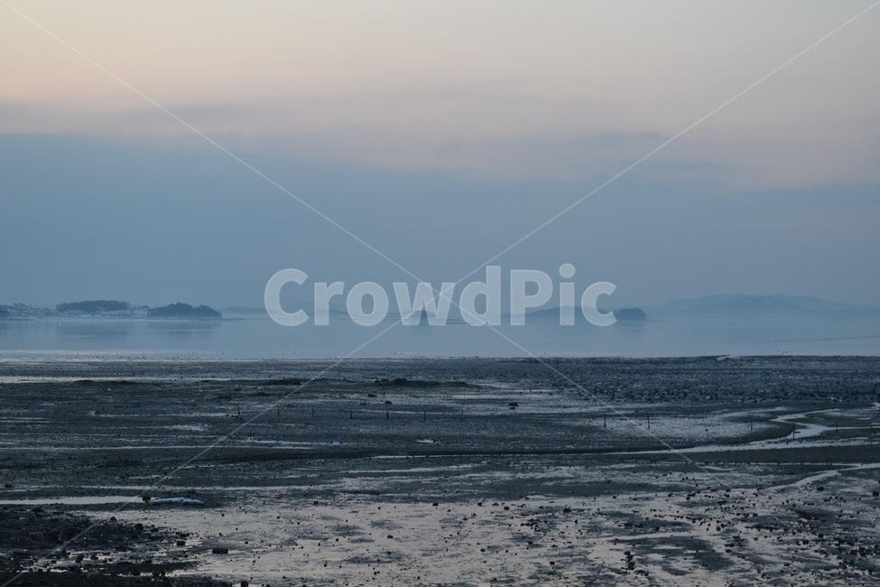 바다,갯벌,해변,산,섬,함평,한국,자연,경관,자연,풍경,nature,landscape,해변,바다,beach,sea,outdoors,옥외,land,땅,architecture,건축물,tower,탑,building,건물