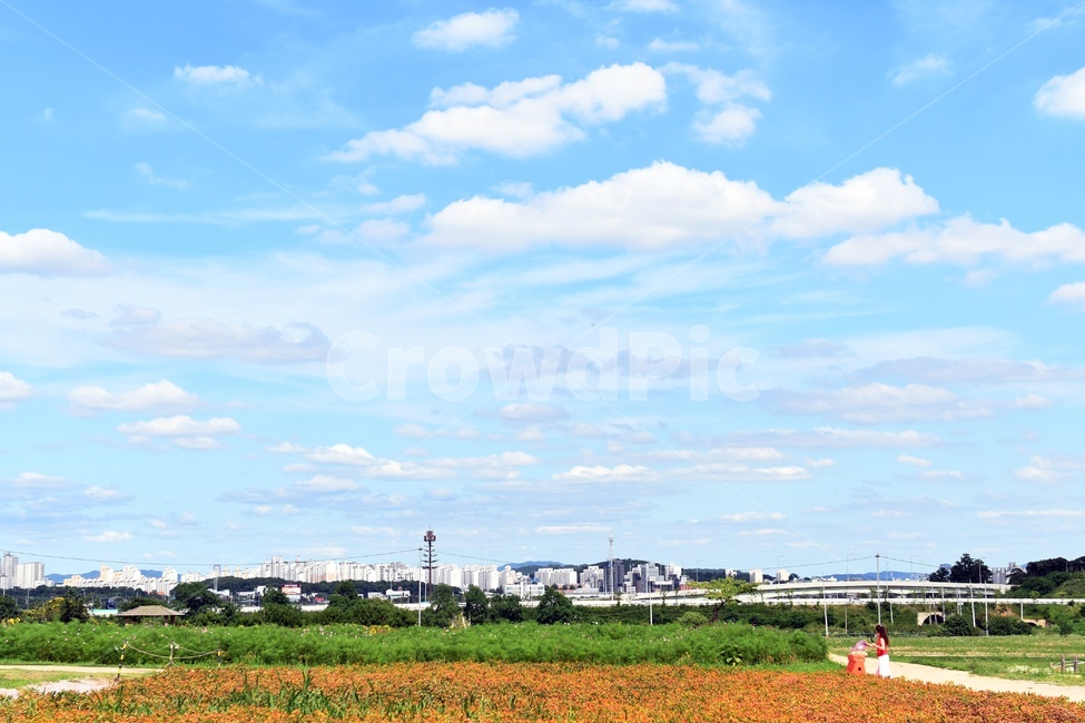 하늘,구름,청명,가을하늘,푸른하늘,파란하늘,도시,풍경,city,landscape,outdoors,옥외,nature,자연