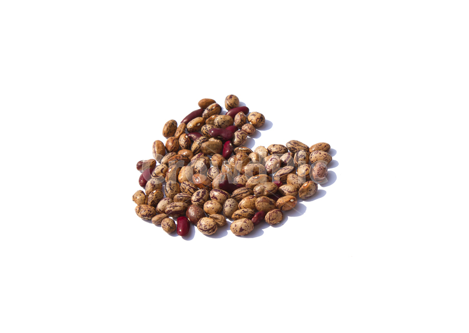 cranberrybean,콩,호랑이콩,호랑이강낭콩,얼룩,무늬,식재료,vegetable,갈색,브라운,빨강,레드,붉은색,곡류,곡식,음식,흰배경,탑,탑뷰,탑앵글,모아놓은,모으기,농작물,음식재료,콩류,모아둔,자연,식물,열매,많은,다수,음식,식재료,요리,food,cook,meal,dishes,food reserves,콩류,견과류,beans,pulse,nuts,dry fruits