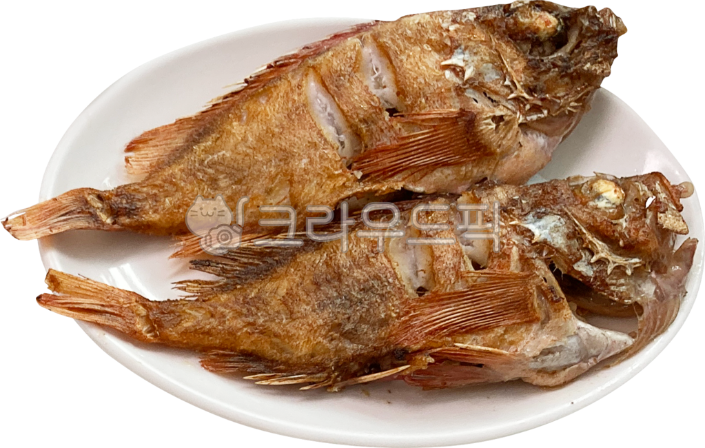 열갱이,열기,열기생선,열갱이생선,열기튀김,열갱이튀김,열기구이,열갱이구이,생선구이,생선튀김,해산물,해물,fishfood