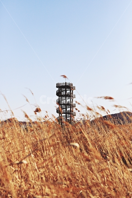 전망대,생태공원,풍경,자연,배경,시흥시,자연,풍경,nature,landscape,한국자연풍경,한국자연경관,korea nature landscape,건축물,건물외관,exterior,building,structure,architecture,construction,plant,식물,grass,잔디,lawn,reed,갈대