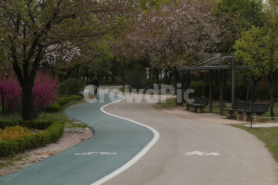 공원,녹지,산책,자전거도로,산책로,숲