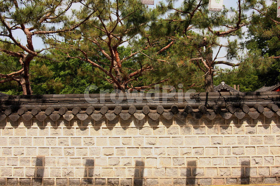 담벼락,한옥,벽,전주,기와,한국