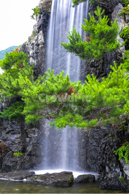 물,폭포,장노출사진,소나무,돌,여름,자연,풍경,nature,landscape,river,강,outdoors,옥외,water,waterfall