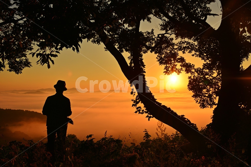 nature,자연,outdoors,옥외,sky,하늘,redsky,붉은하늘,dawn,새벽,일출,함평,함평밀재,밀재,밀재아침,밀재일출,person,사람,human,인간,silhouette,실루엣,sunlight,햇빛,실루엣,그림자,silhouette,shadow,인물실루엣,사람실루엣,character silhouette,human silhouette