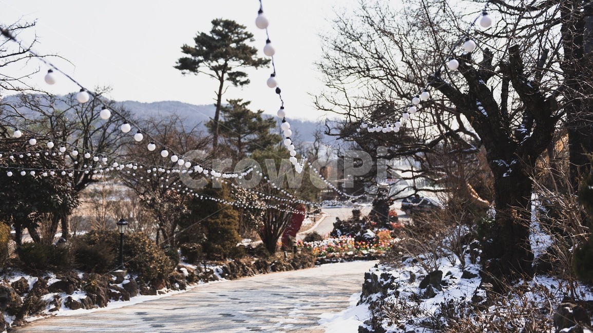 조명,겨울,나뭇가지,길,보도,outside,산책,공원,조용한