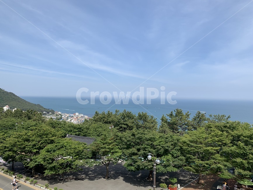 부산,바다,숲,풍경,하늘,sky,sea,맑은날,날씨,자연,배경