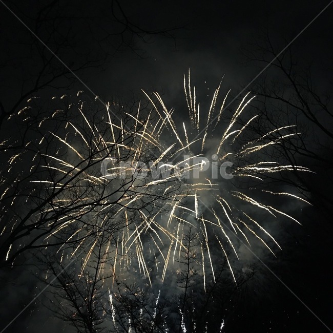 폭죽,불꽃축제,장노출,야경,밤,품경,nightscape,nightland