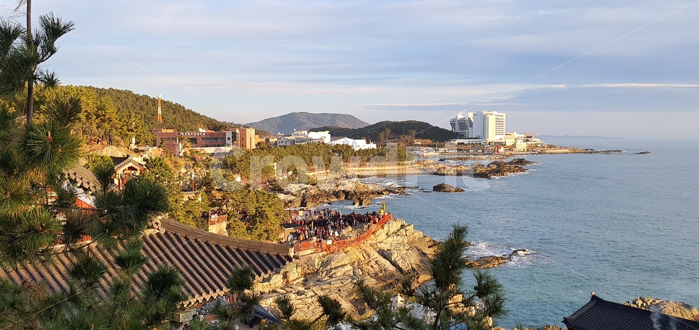 일출풍경,바다,해,새해,남해,sea,sun,wkdus,nature,새벽,황혼,일몰,햇빛,하늘,옥외,바다일출,신년,한국자연풍경,해돋이,절,자연,경치