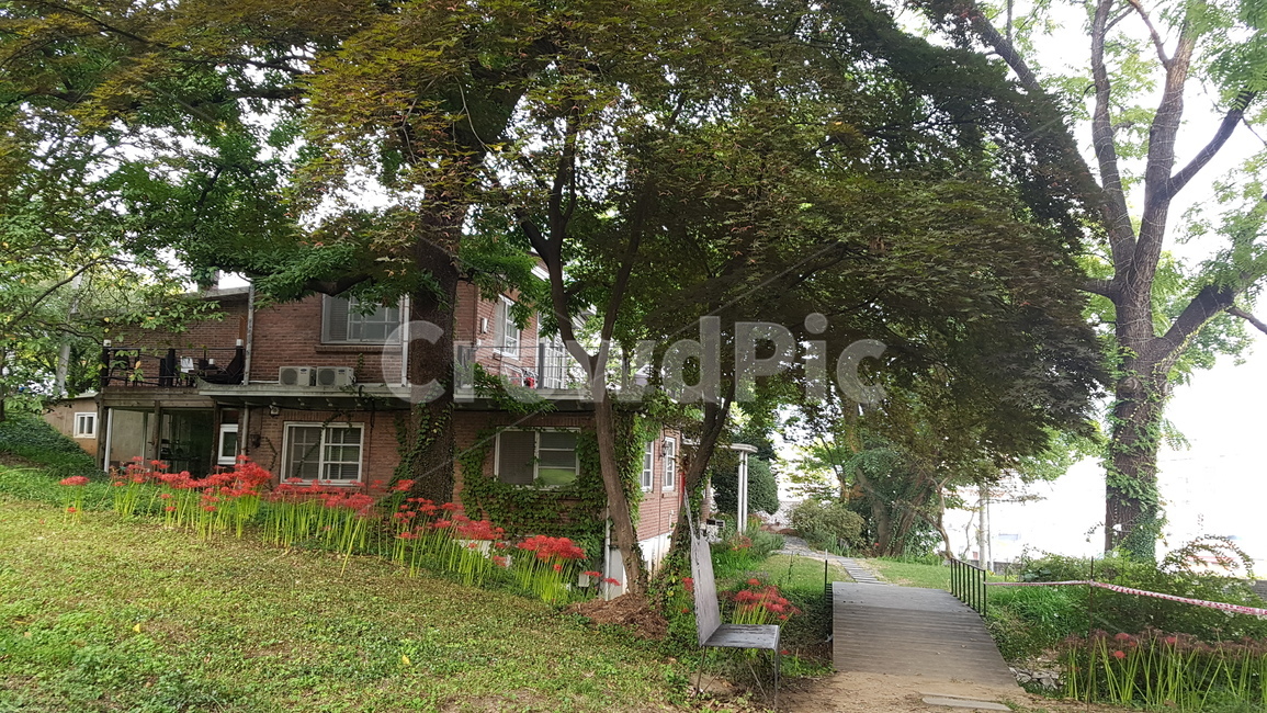 주택,별장,정원,뜰,마당,house,빌라,villa,botanical,nature,자연,휴식,여유,건축물,건물외관,exterior,building,structure,architecture,construction