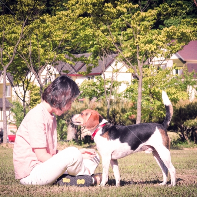 강아지,인물사진,공원,국내여행,여행,캠핑,애견,비글,개,dog,travel,beagle,portrait,landscape,puppy,니콘d750,동물,animal,포유류,mammal,개,강아지,dog,doggy,사람,인물,인간,human,person,감정표현,기분,feeling,emotion