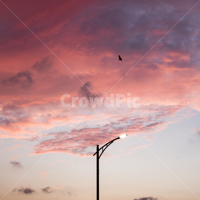 노을,풍경,구름,하늘,해질녘,감성,자연,풍경,nature,landscape,동물,animal,조류,새,birds,색깔,색상,색채,색감,color sense,color sensitivity,feeling of color,lamp post,램프 포스트