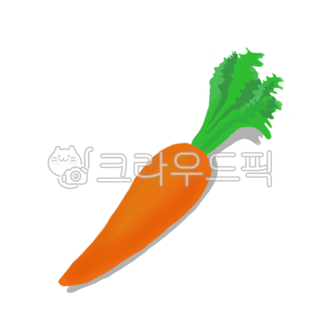 ingredient,png,food pictures,food ingredients,vegetable,food illustration,food,healthy,plant,healthy food,drawing,illustration,diet,graphic,carrot