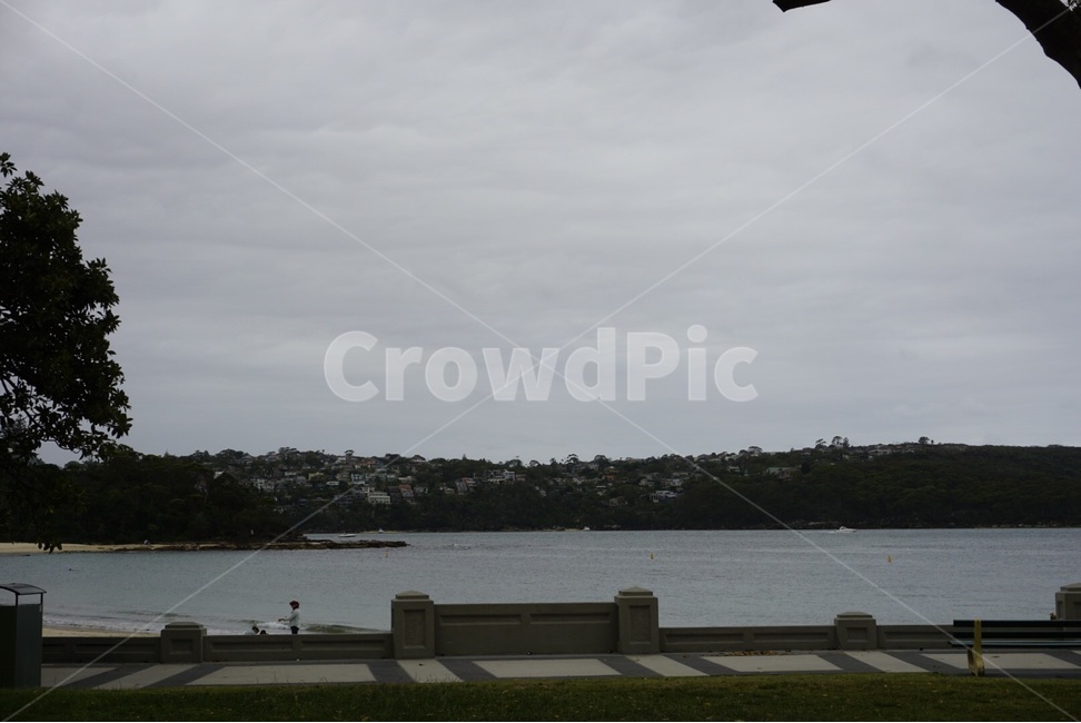 시드니,sydney,호주,자연,nature,풍경,scenery,바다,sea,나무,tree,자연,풍경,nature,landscape,leisure activities,레저 활동,adventure,모험
