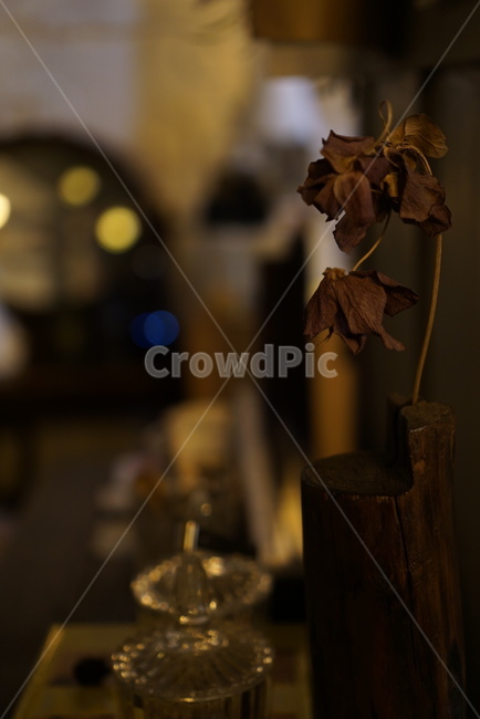 인테리어,갬성,감성까페,앤틱,앤틱인테리어,꽃,flower