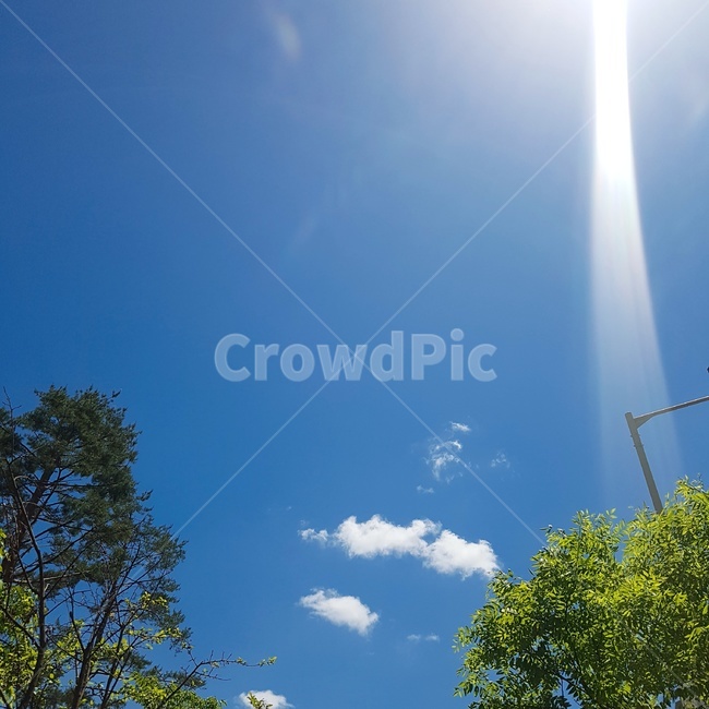 푸른하늘,하늘,햇빛,구름,나무,나뭇잎,sky,tree,nature,자연,sun,blue