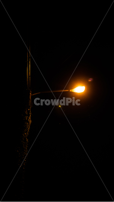빛,가로등,밤,덩쿨,램프포스트,lamppost,야경,밤,풍경,nightscape,night,landscape,lamp post,램프 포스트