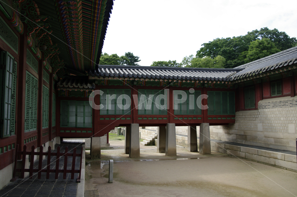 창덕궁,고궁,한옥,전통가옥,기와지붕,건축,traditional,한국전통,한국문화,korean traditional,korean culture,랜드마크,landmark,tourist attraction,한국랜드마크,한국관광지,한국명소,korea landmark,korea tourist attraction,건축물,건물외관,exterior,building,structure,architecture,construction