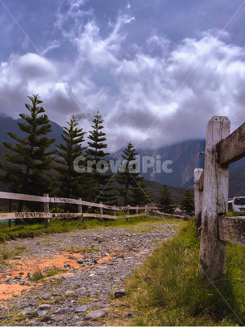 산,목장,울타리,하늘,자연,말레이시아,코타키나발루,키나발루산,mountain,sky,farm,fence,road,malaysia,kotakinabalu,kinabalumountain,자연,풍경,nature,landscape,해외,외국,세계,foreign,oversea,world,세계자연풍경,해외자연풍경,외국자연풍경,world nature landscape,도로,dirt road,흙길,gravel,자갈,abies,아비,fir,전나무,plant,식물,tree,나무