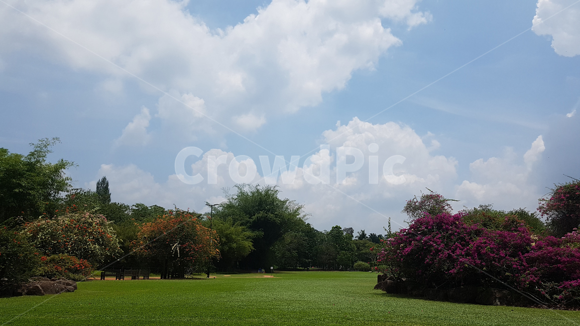 가든,정원,grass,잔디,공원,garden,park,하늘,sky