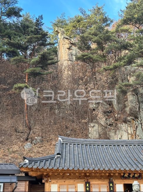 roof,house,주택,architecture,tree,정벽,낭떠러지,절
