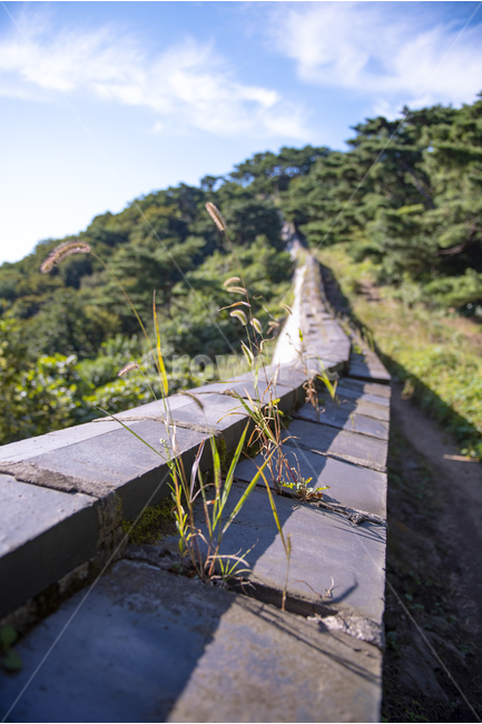 남한산성,성벽,성곽,고성,산성로,한국전통,한국문화,korean traditional,korean culture,식물,자연,plants,nature,건축물,건물외관,exterior,building,structure,architecture,construction