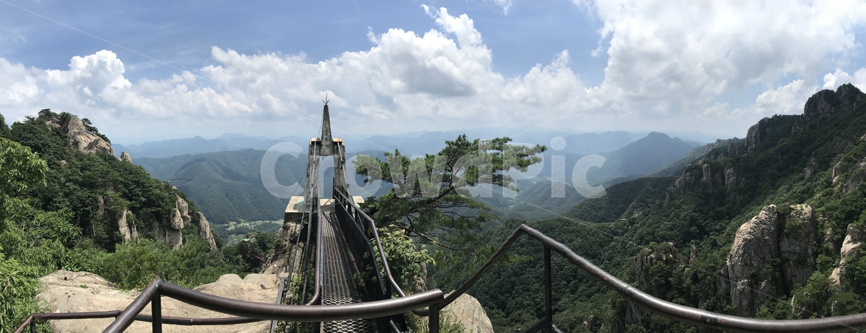 등산,등산로,하늘,정상,트레킹,나무,산,계룡산,자연,풍경,nature,landscape