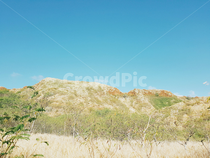 자연,풍경,나무,하늘,숲,자연,풍경,nature,landscape,field,들,grassland,목초지,outdoors,옥외,mound,투수판