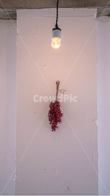 전등,드라이플라워,감성,흰벽,따뜻,인테리어,실내디자인,interior design