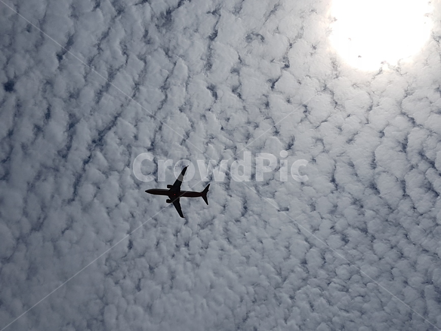 비행기,하늘,구름,날씨,그림자,태양,교통,교통수단,traffic,transportation