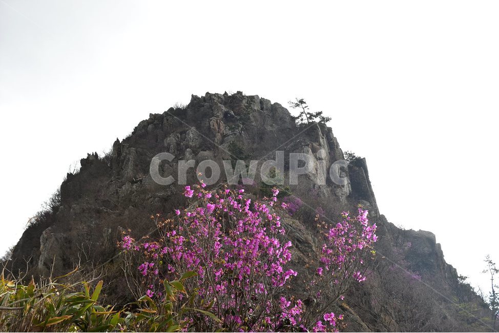 주작산,덕룡산,종주,진달래,풍경,기암,바위,비경,봄풍경,진달래꽃,강진,명산,산행,등산,마운틴,힐링,mountain,landscape,자연,natural,봄,계절,spring,season,자연,풍경,nature,landscape,한국자연풍경,한국자연경관,korea nature landscape,cliff,낭떠러지,outdoors,옥외