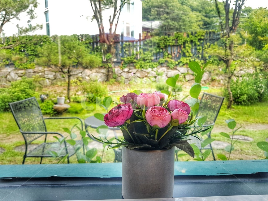 plant,식물,flower,blossom,꽃