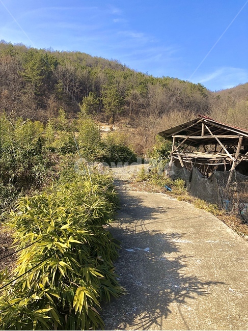 자연,nature,outdoors,시골,골목,시골,마을,풍경,landscape,country,rural,town