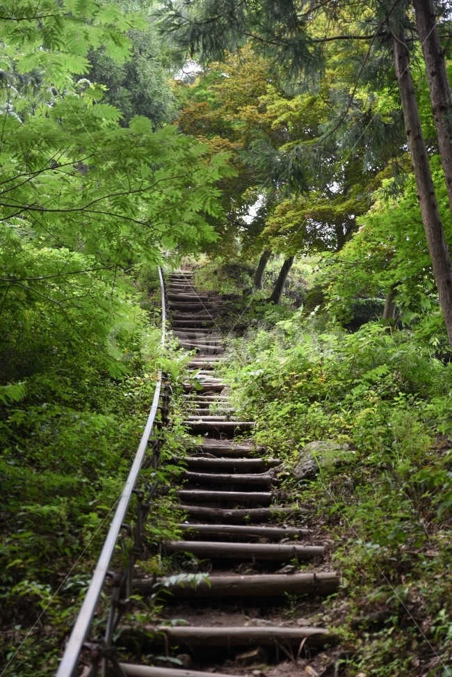 상승,계단,자연,푸르림,녹색,나무,자연,풍경,nature,landscape,outdoors,옥외,garden,정원