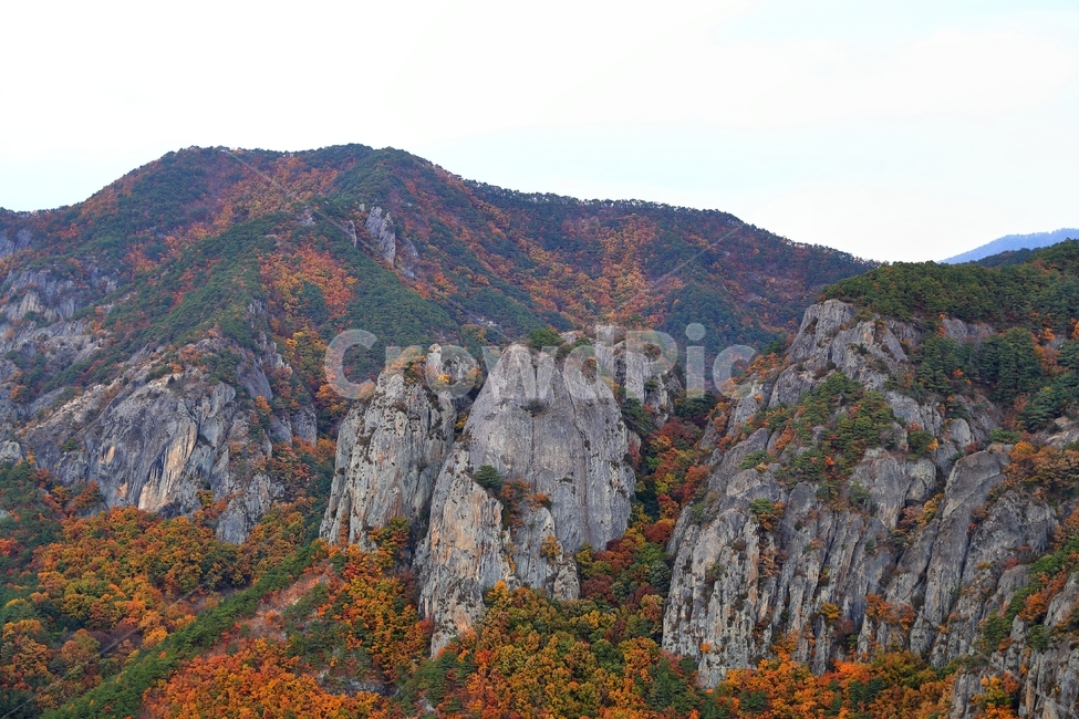 단풍,암봉,주왕산,가을,산,가을,계절,fall,autumn,season,자연,풍경,nature,landscape,한국자연풍경,한국자연경관,korea nature landscape,outdoors,옥외,mountain,cliff,낭떠러지