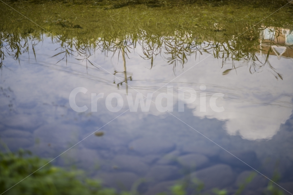 반영,하늘,도림천,풍경,출사,여행,한국,스냅,감성,자연,풍경,nature,landscape,water,물,outdoors,옥외,land,땅