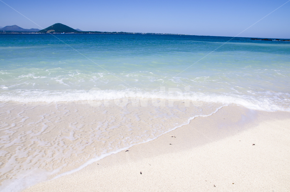 제주,제주도,비치,모래,손바닥,해변,바다,여름,우도,섬,해변,바다,beach,sea